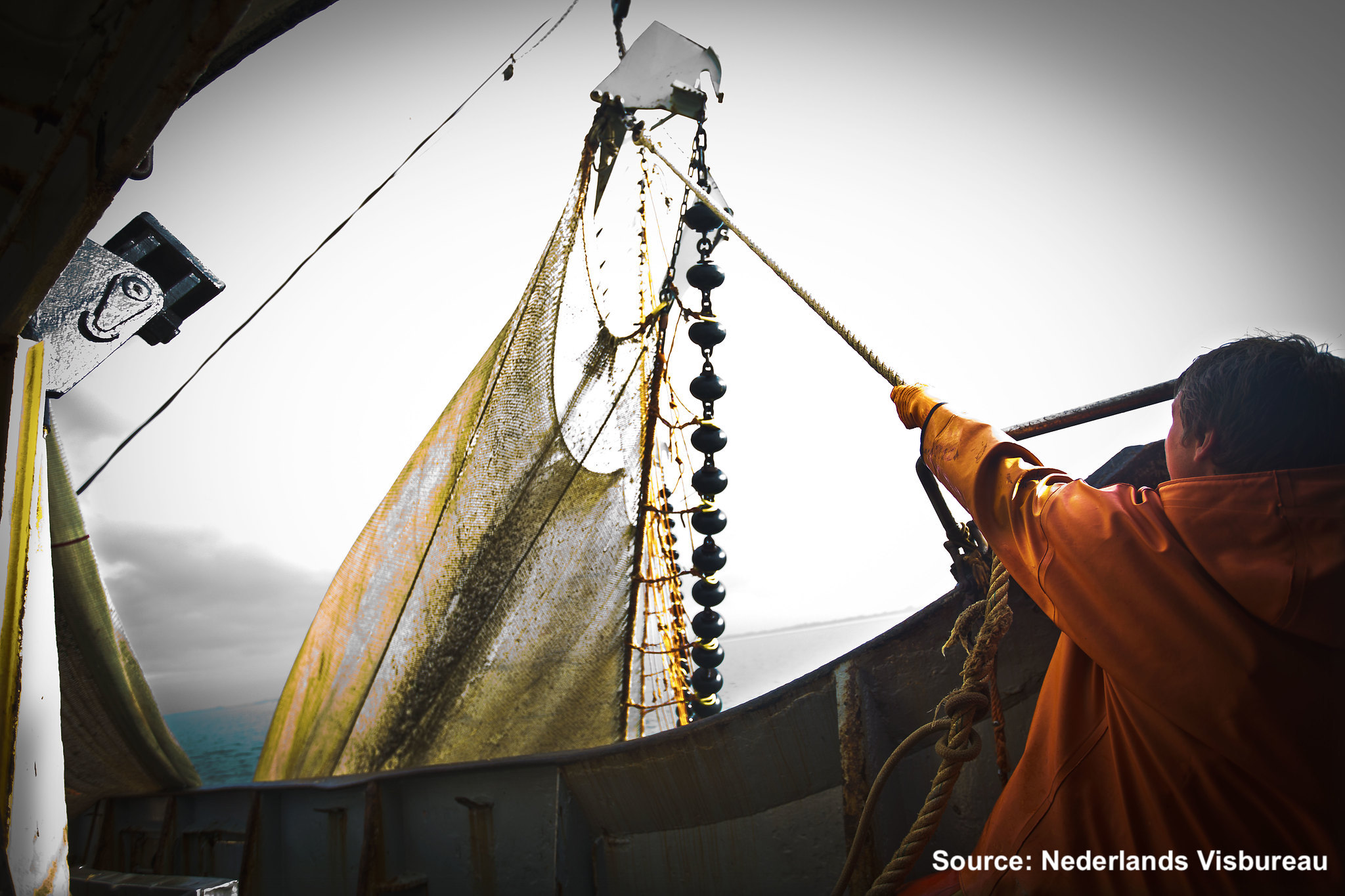 Fisher hauling in the net