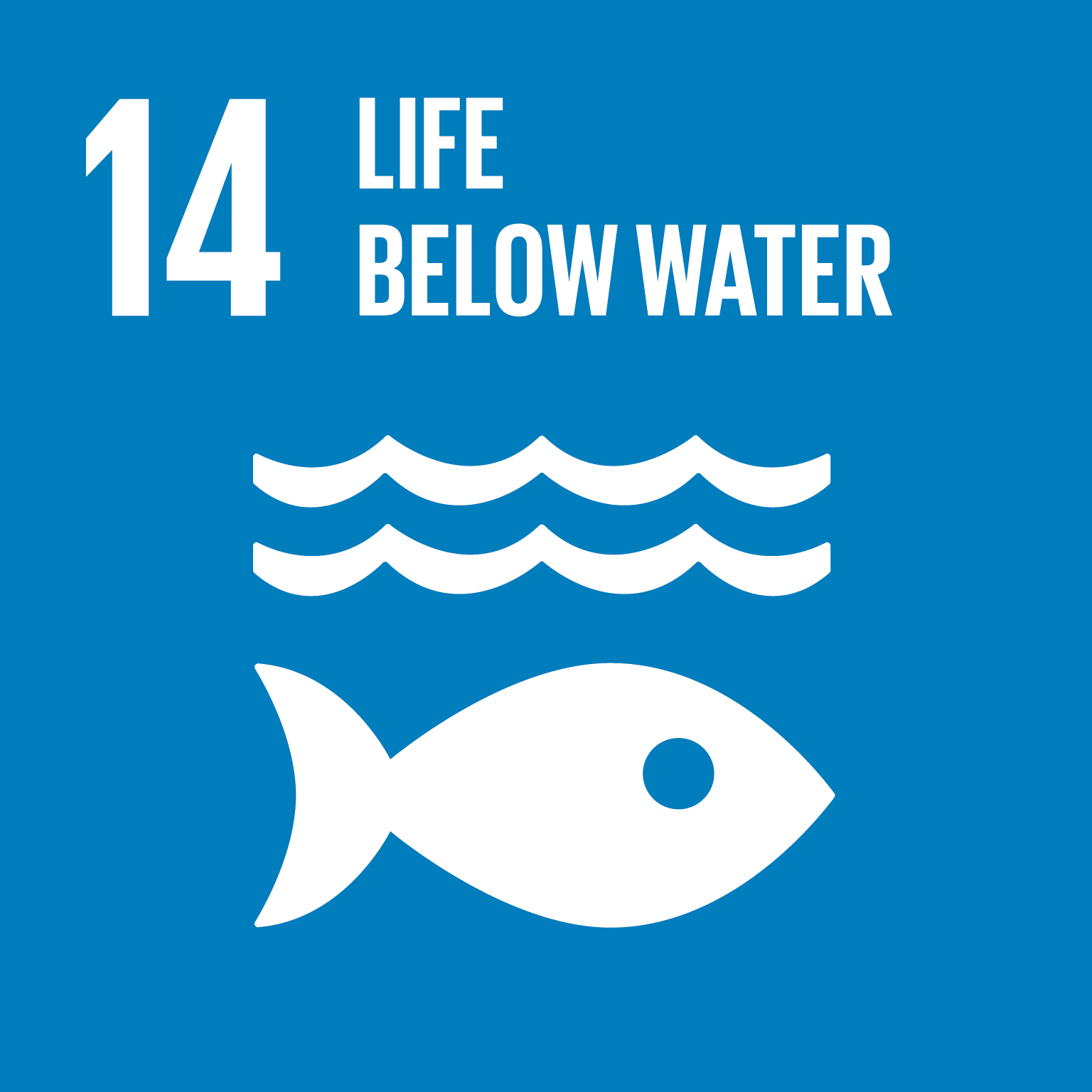 UN SDG 14 Life below Water