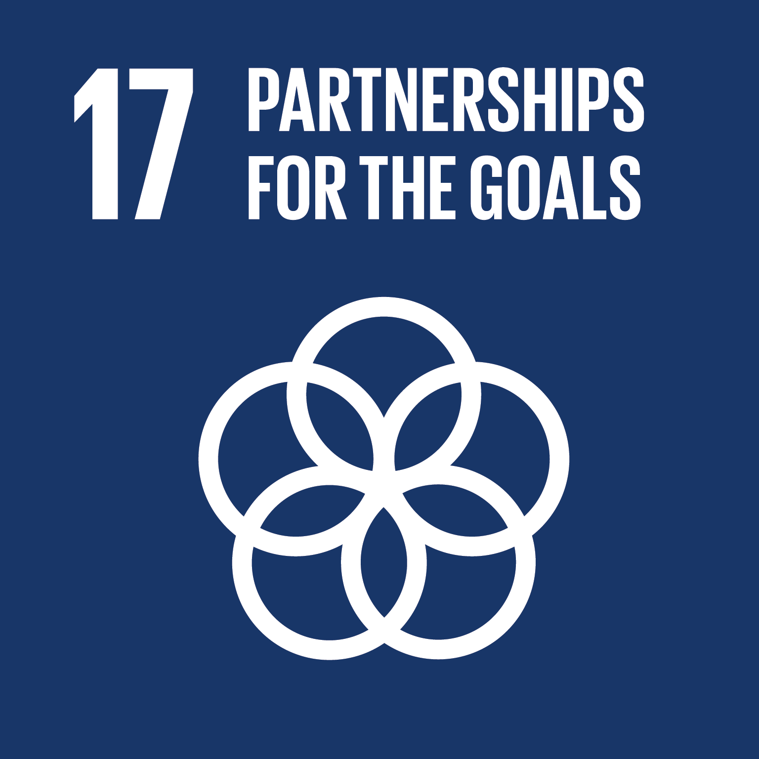 UN SDG 17 Partnerships for the goals